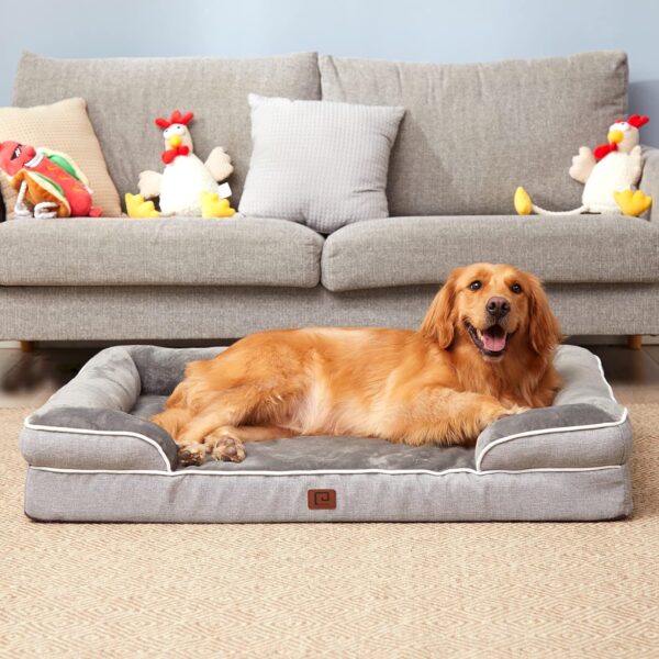 Orthopedic Dog Beds